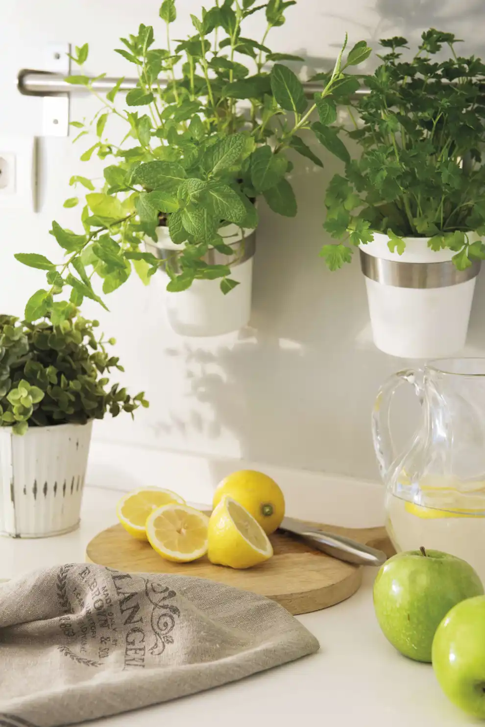 Cocina con limones y plantas aromáticas 00457238 