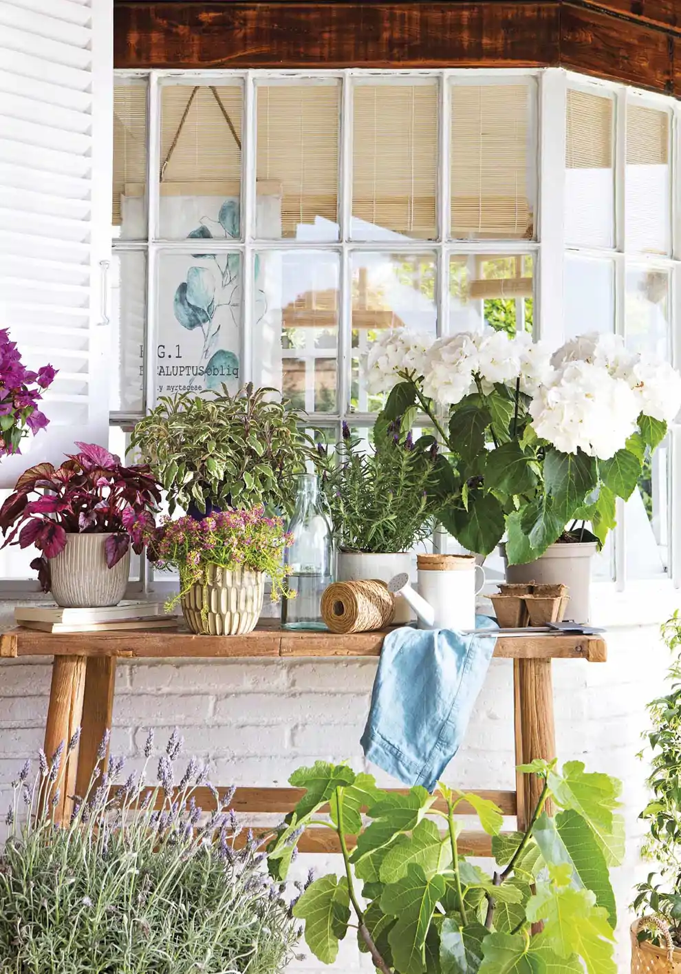 Mesa con flores y plantas