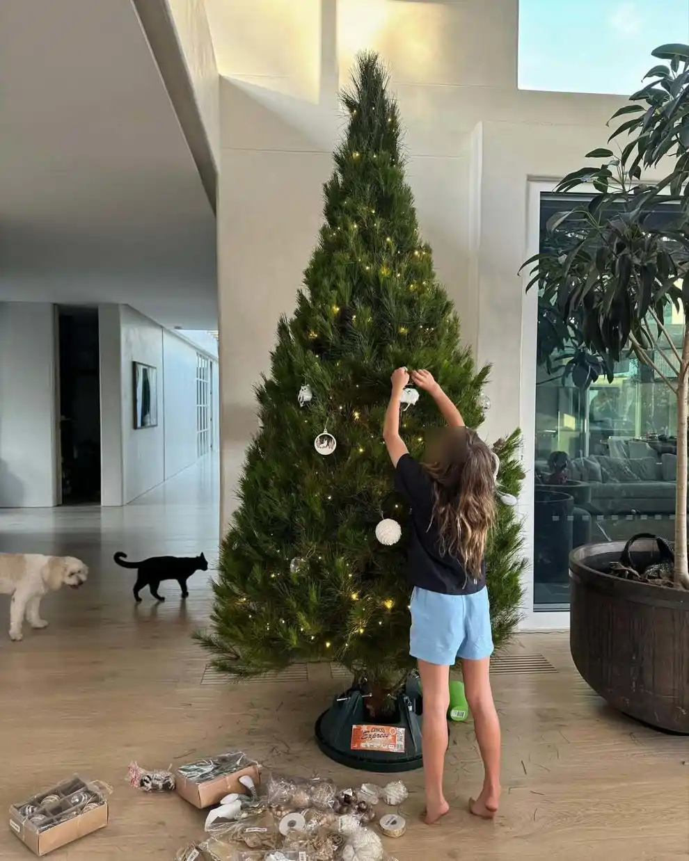 Salón de Elsa Pataky y Chris Hemsworth