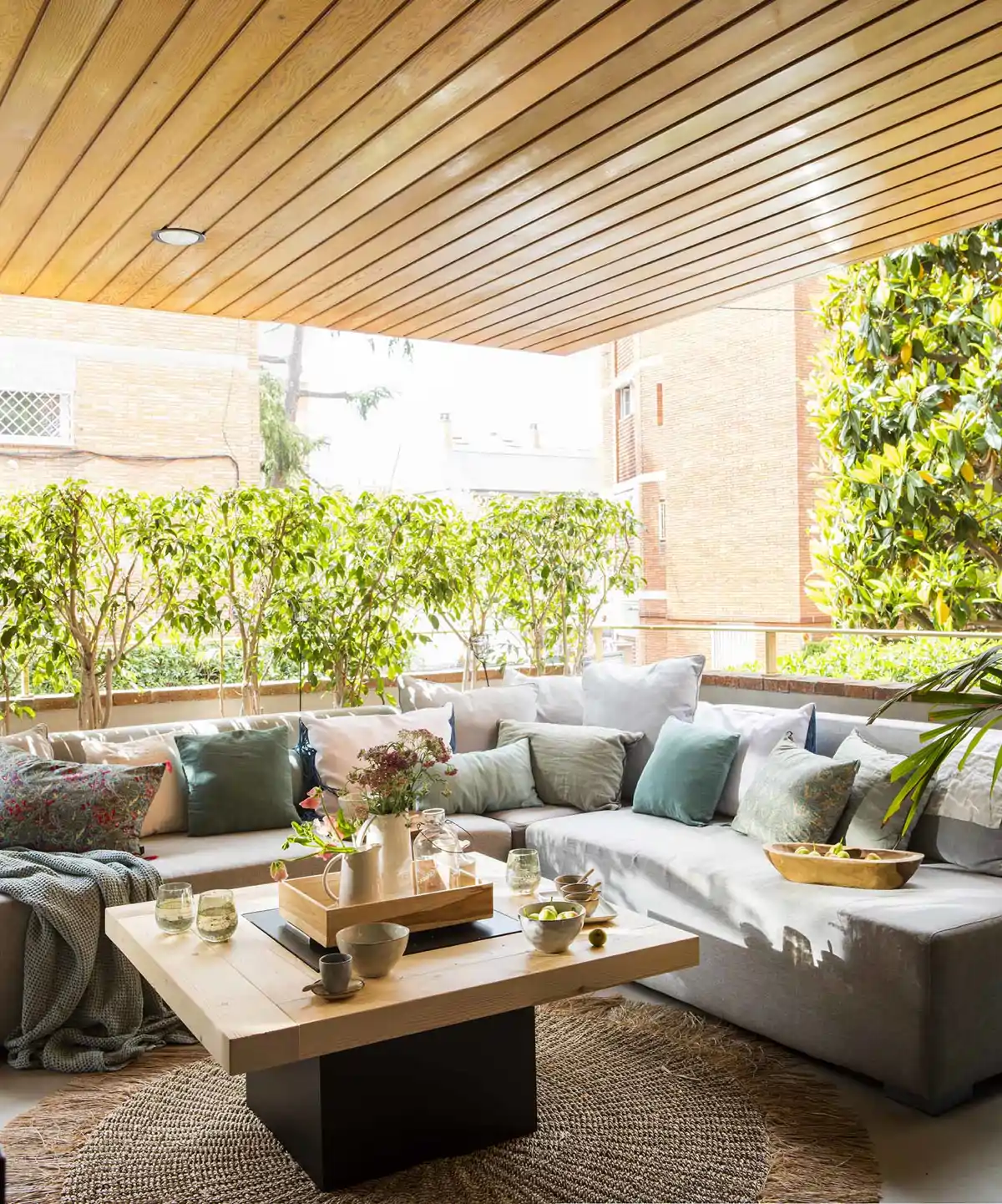 Terraza 