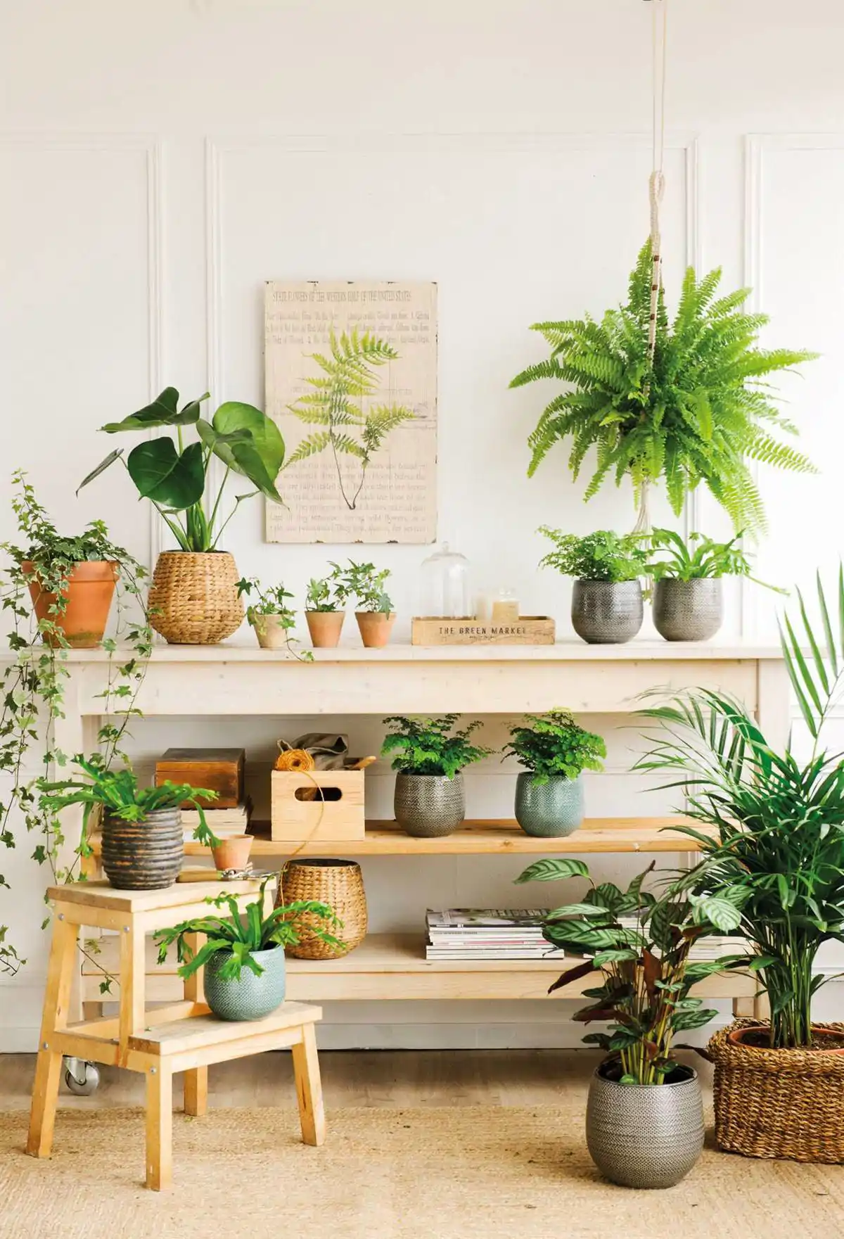 La experta en Feng Shui Maite Pérez lo ha explicado de la siguiente manera:  Activan demasiado la energía yang  Aunque las plantas activan la energía yang, la energía vital y dinámica, un exceso de plantas en casa podría convertir a esta energía en caótica y bloqueante. Este efecto bloqueador se intensifica cuando todas las plantas están agrupadas sin orden, sin equilibrio con otros elementos o cu