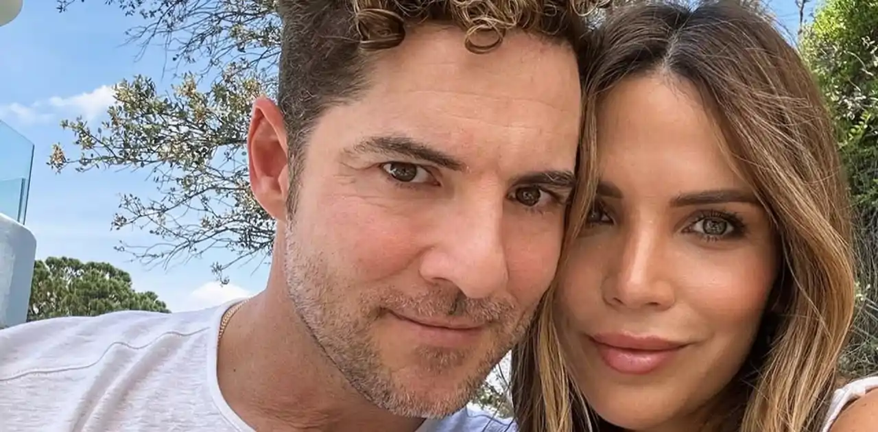 El espectacular dormitorio de David Bisbal y Rosanna Zanetti ...